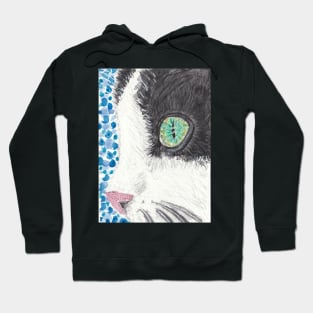 Cat up close face art Hoodie